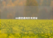 888德信德州扑克地址