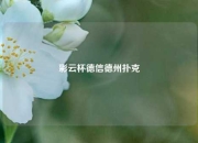 彩云杯德信德州扑克