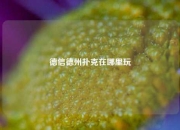 德信德州扑克在哪里玩