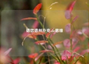 德信德州扑克abc思维