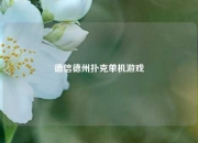 德信德州扑克单机游戏