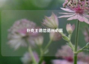 扑克王德信德州必赢