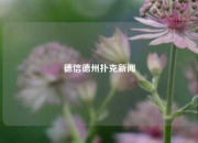 德信德州扑克新闻
