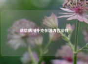 德信德州扑克在国内合法性