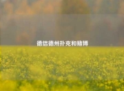 德信德州扑克和赌博
