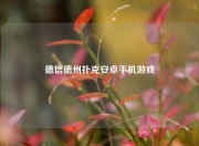 德信德州扑克安卓手机游戏