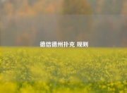 德信德州扑克 规则