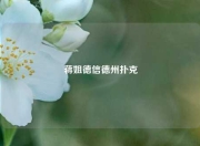蒋姐德信德州扑克