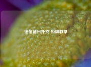 德信德州扑克 短牌教学