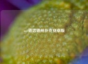 ace德信德州扑克安卓版