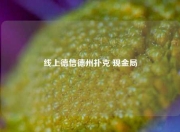 线上德信德州扑克 现金局