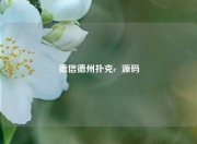 德信德州扑克c  源码