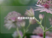 德信德州扑克室