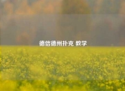 德信德州扑克 教学