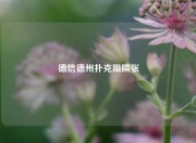 德信德州扑克阻隔张