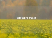 德信德州扑克筹码