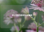 线上德信德州扑克盈利