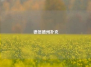 德信德州扑克