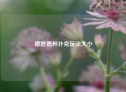 德信德州扑克玩法大小