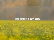 德信德州扑克有效筹码