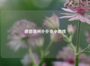 德信德州扑扑克小游戏