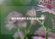 德信德州牌扑克游戏玩法规则