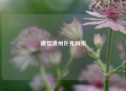 德信德州扑克网页