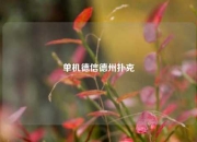 单机德信德州扑克
