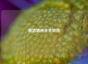 德信德州扑克软件