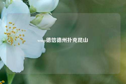 wsop德信德州扑克昆山
