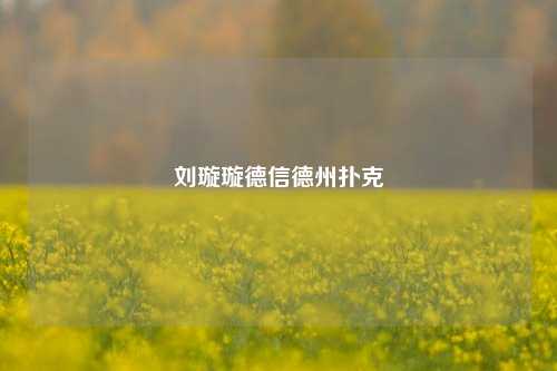 刘璇璇德信德州扑克