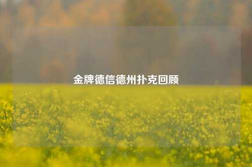 金牌德信德州扑克回顾