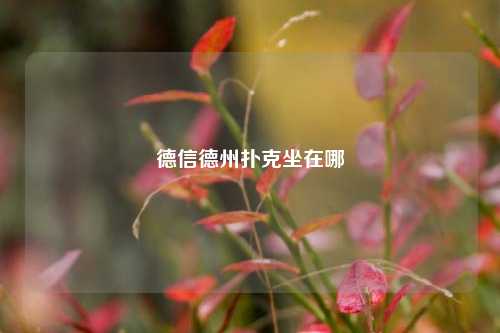 德信德州扑克坐在哪