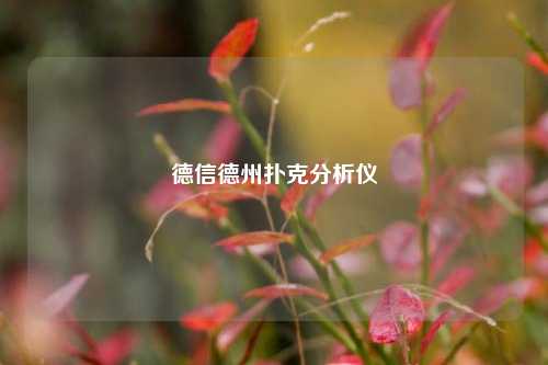 德信德州扑克分析仪