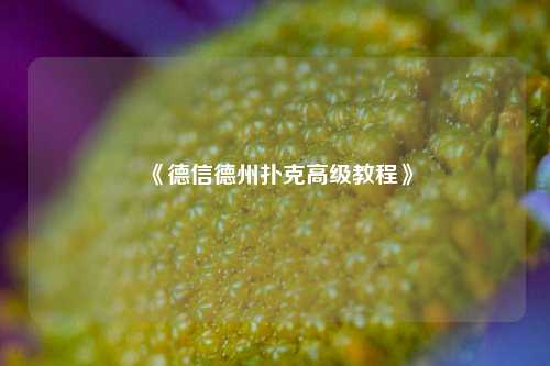 《德信德州扑克高级教程》