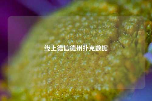 线上德信德州扑克数据