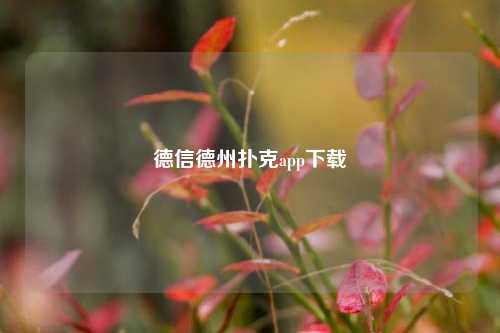 德信德州扑克app下载