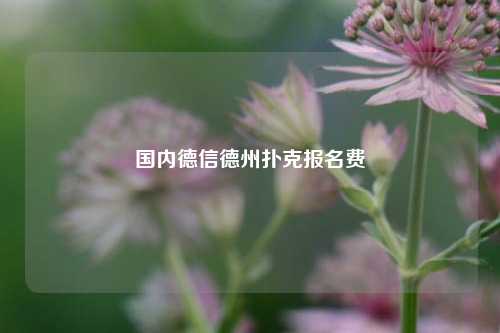 国内德信德州扑克报名费