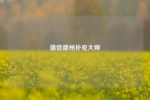 德信德州扑克大师