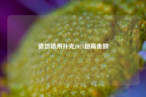 德信德州扑克2021超高金额