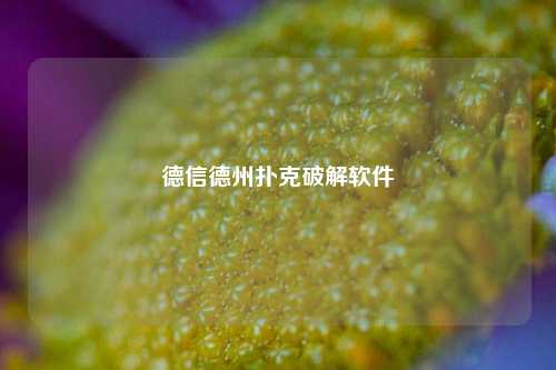 德信德州扑克破解软件