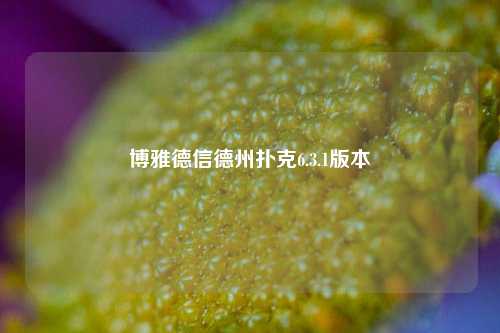 博雅德信德州扑克6.3.1版本