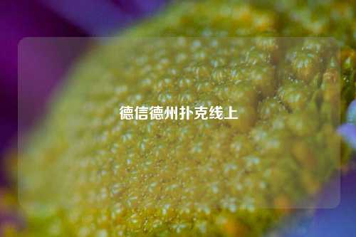 德信德州扑克线上