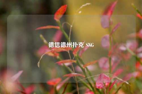 德信德州扑克 SNG