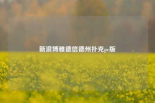新浪博雅德信德州扑克pc版