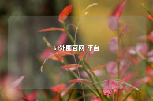 lol外围官网-平台