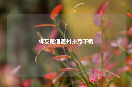 牌友德信德州扑克下载