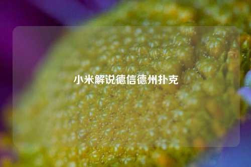 小米解说德信德州扑克